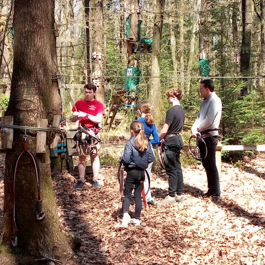 The Tyrolean Forest