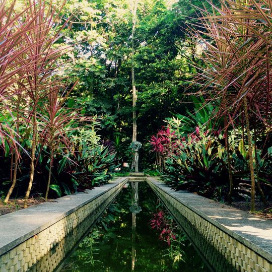 Jardim Botânico do Recife