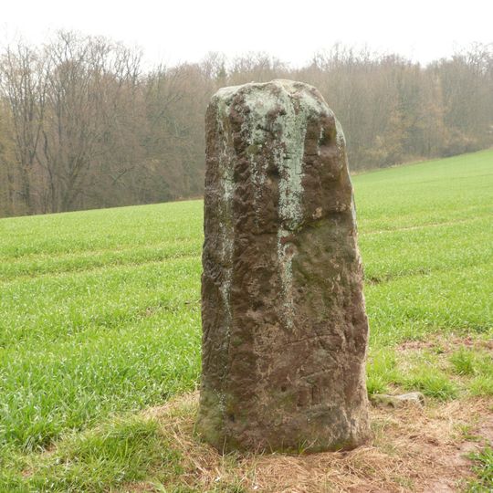 Menhir von Mittelbrunn