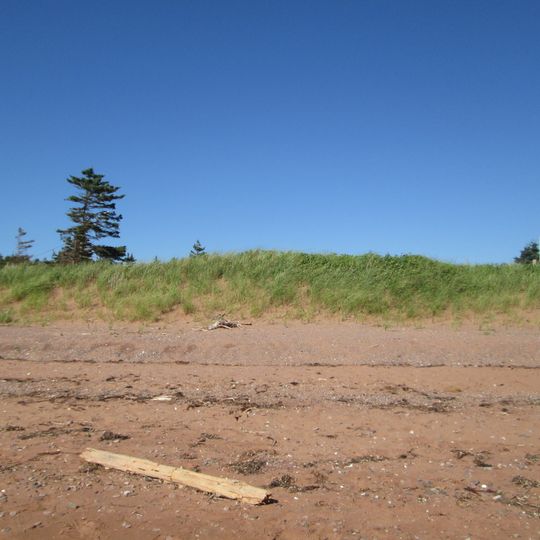 Parc provincial de Cedar Dunes