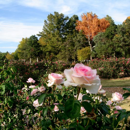 Will Rogers Gardens