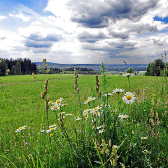 Přírodní park Smrčiny