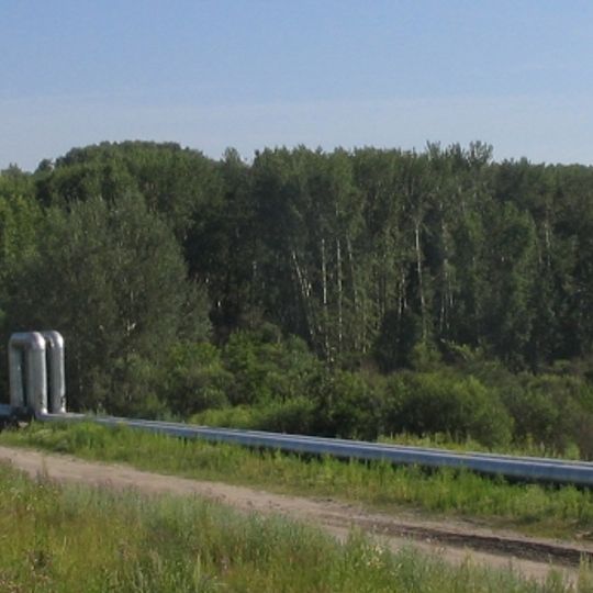 Mikhailovskaya Grove