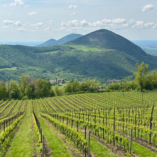 Euganean Hills