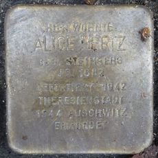 Stolperstein dedicated to Alice Hertz