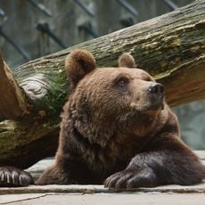 Tierpark Wolgast
