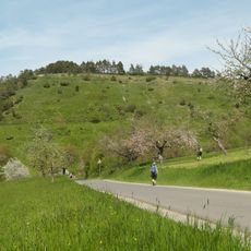 Trockenhänge bei Böttigheim