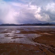 Willapa National Wildlife Refuge