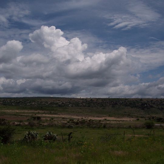 Ojuelos de Jalisco Municipality
