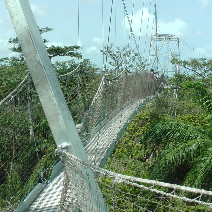 Lekki Conservation Centre