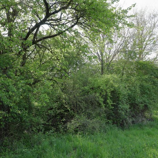 Ödland Au-Rod Häften