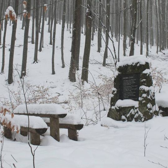 Památník Prosba lesa v Hynčině severně od obce