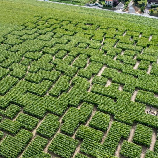 Pop Corn Labyrinthe YVELINES
