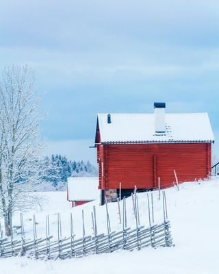 Winter 3