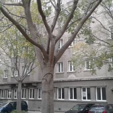 Wohnhausanlage Hainburger Straße 57+61