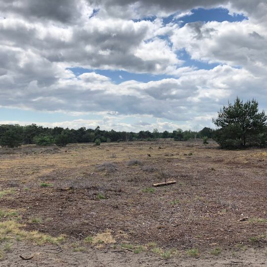 Terrain with 9 tumuli