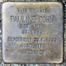 Pauline Cohn