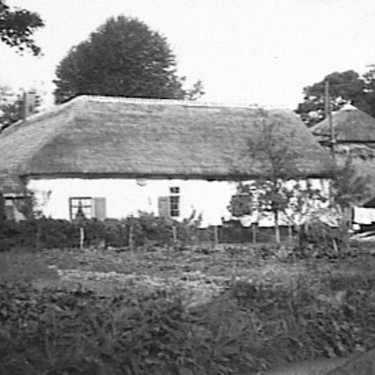 Boerderij, dwarshuis, vensters met oude roeden, halve luiken, laag gebouw met riet gedekt