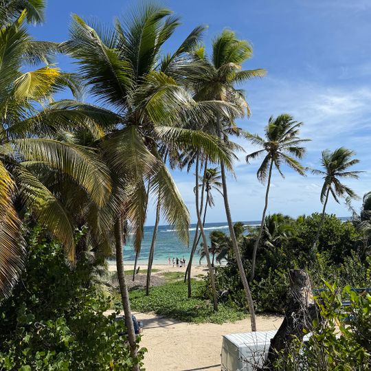 Plage de l'Anse Michel
