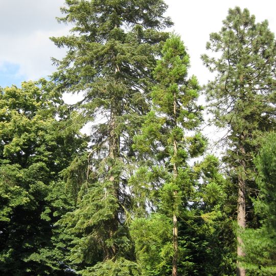 Kivik-Esperöds Arboretet