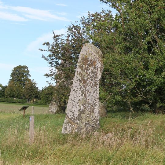 Tullehögen, Tullestenarna