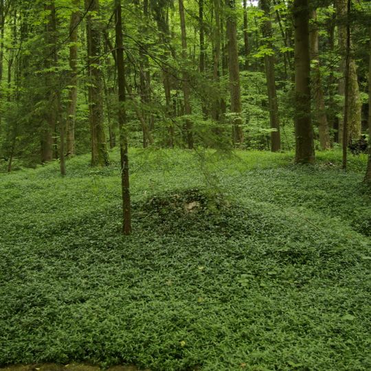 LSG Bischofsmeilwald, Schutz von Landschaftsteilen im Gebiet des Landkreises Erlangen