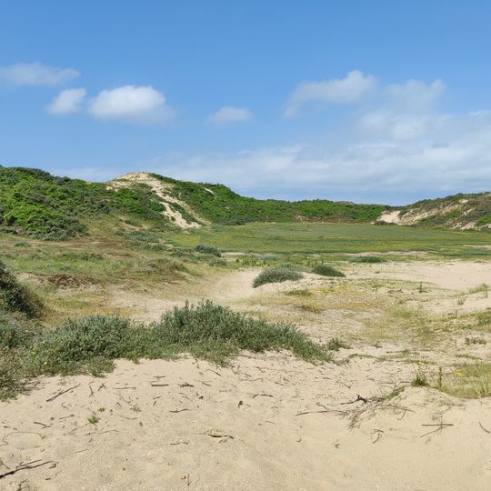 Duinen van Ter Yde, Hannecartbos en Oostvoorduinen