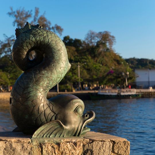 Golfinho de Paquetá