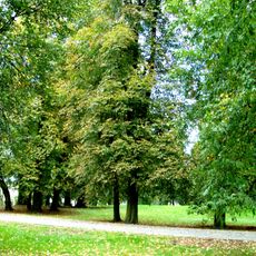 Manor park in Wojnowo, Bydgoszcz County