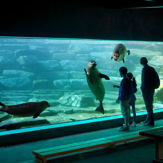 Parc zoologique du château de Branféré