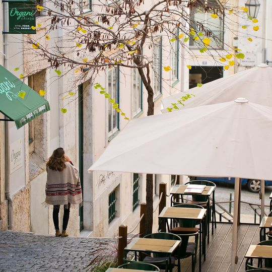 Organi Chiado