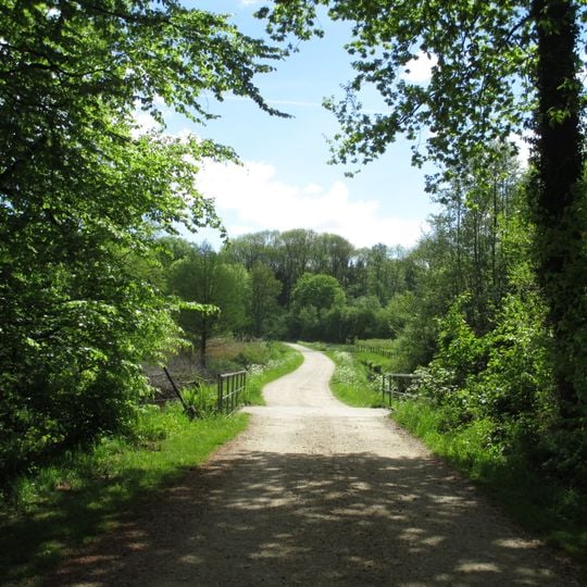 NSG Nieper Altrheinrinne bei Bloemersheim