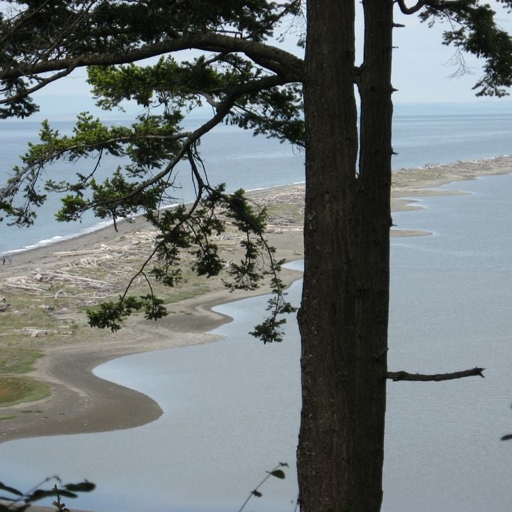 Dungeness Spit