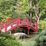 Red bridge of the Japanese garden