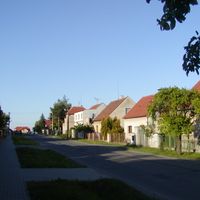 Netřeby