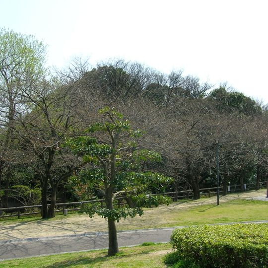 Ajiyoshi Futagoyama Kofun