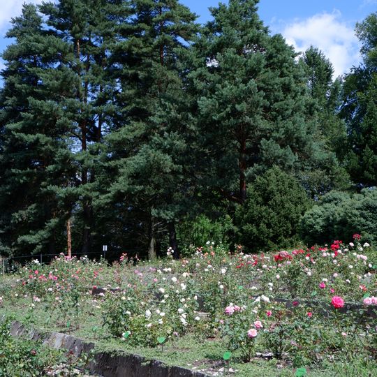 Arborétum Borová hora