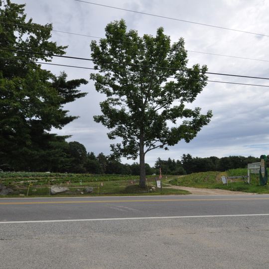 Spiller Farm Paleoindian Site