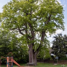 Die 2 Röthenbacher Angereichen