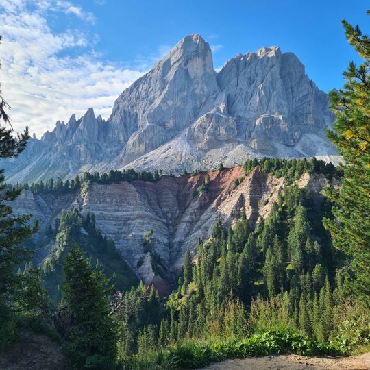 Punto di vista panoramico