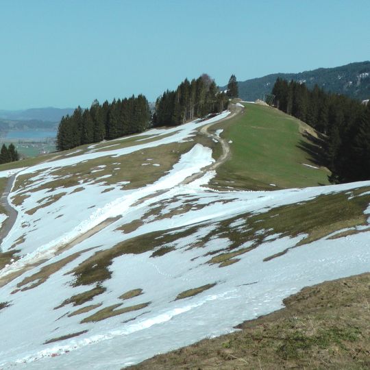 Hündlekopf