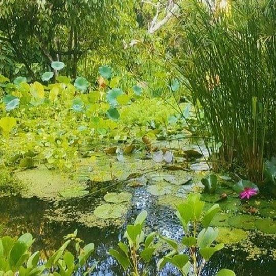 Acapulco Botanical Garden