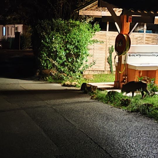 Artcamping Plateau des Chasses