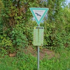 Kiesgrube Weberalten