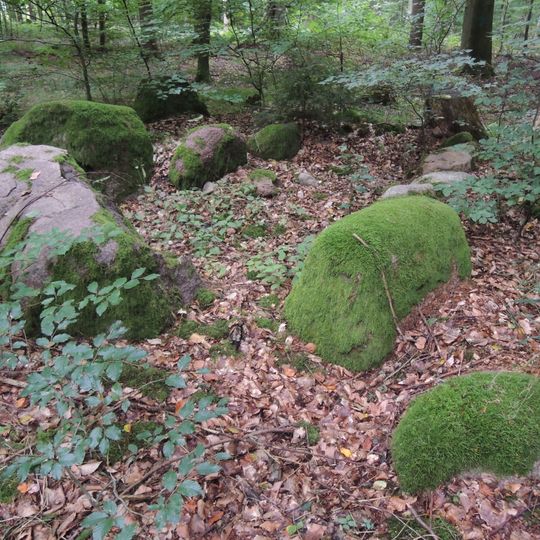 Großsteingrab Solchstorf 2