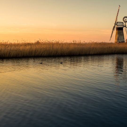 St Benets Level Windpump At Tg 39941564
