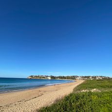 Dee Why Swan