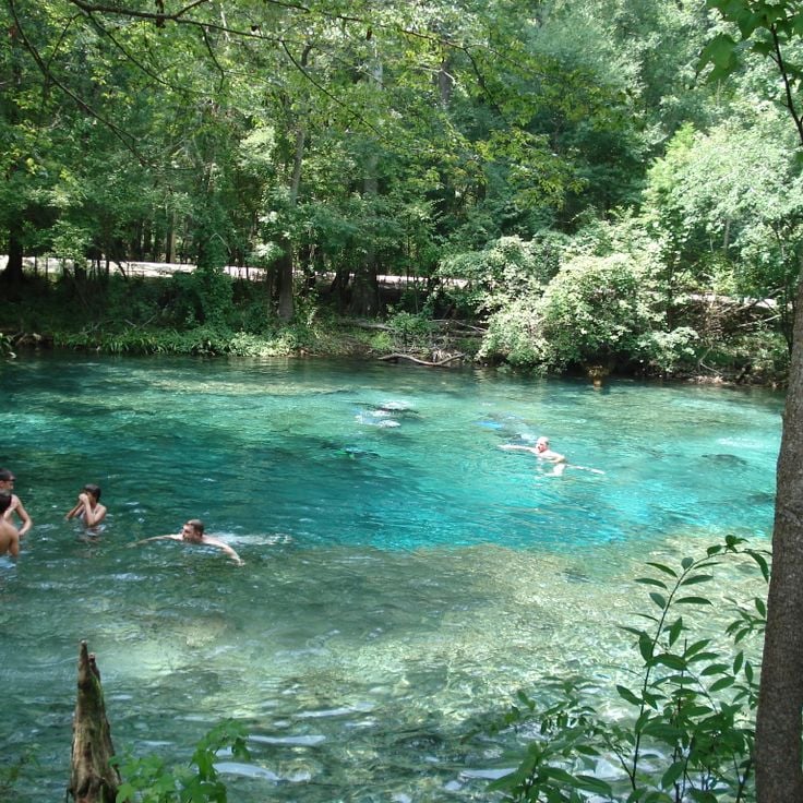 Ginnie Springs