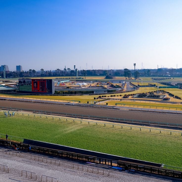 Nakayama Racecourse