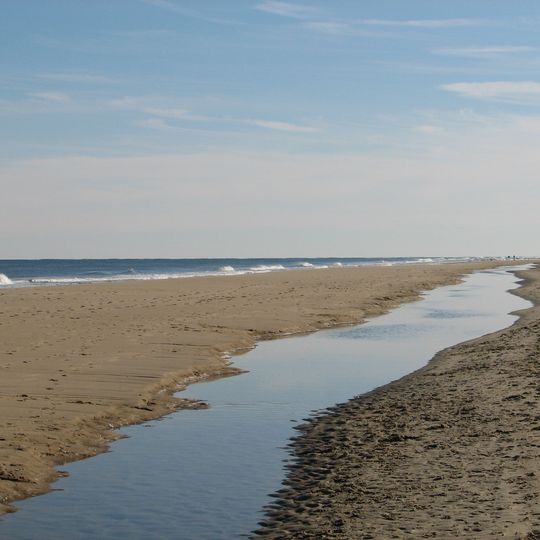 Fenwick Island State Park